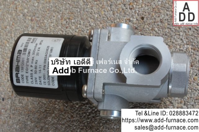 Brahma Type EG12*SR*GMO (8)